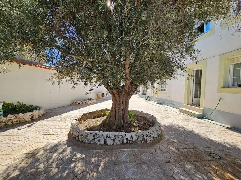 Willa La Casa Del Arbol Fuentiduena de Tajo Zewnętrze zdjęcie