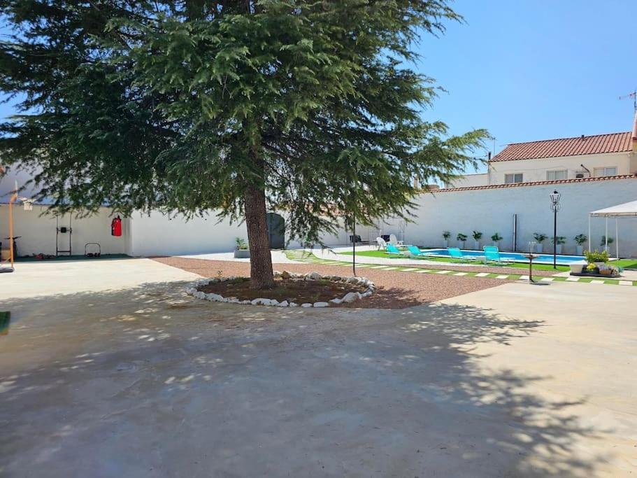 Willa La Casa Del Arbol Fuentiduena de Tajo Zewnętrze zdjęcie
